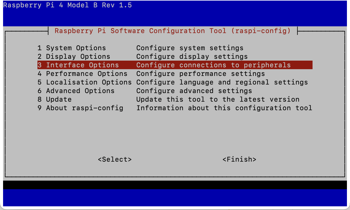 Raspberry Pi OS Interface Options menu